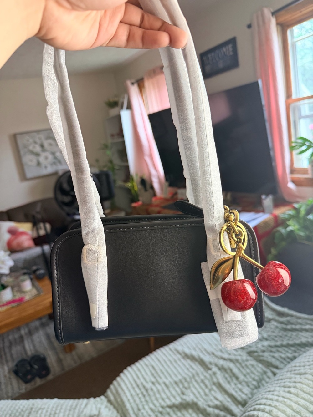Brand New With Tags (NWT) Coach Swing Zip Bag